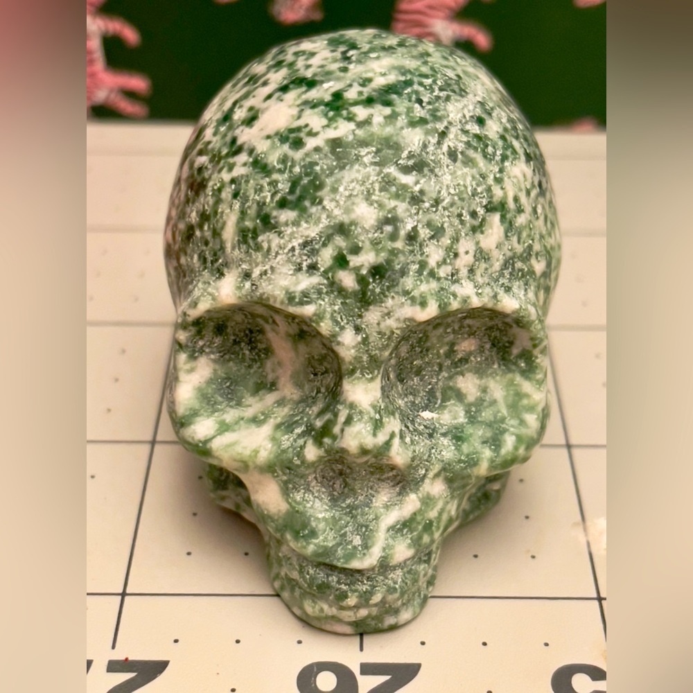 Tree Agate Crystal Skull beautifully Hand carved